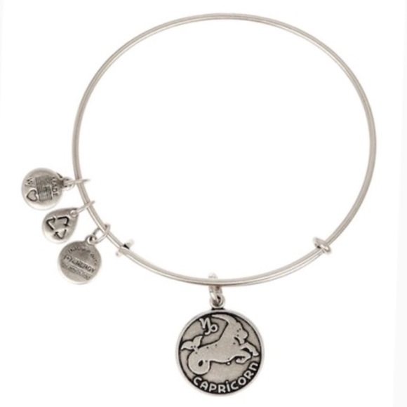 Alex & Ani Capricorn Charm Bangle Russian Silver - Picture 3 of 6
